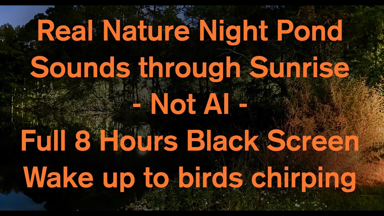 Pond Night to Sunrise Sounds 8hrs REAL not A.I.