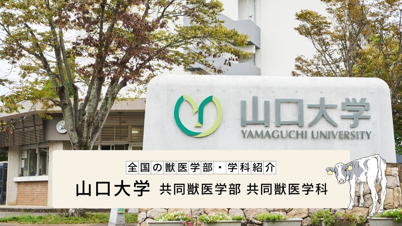 【全国の獣医学部・学科紹介】山口大学 共同獣医学部 共同獣医学科