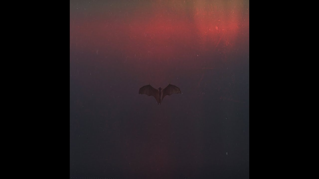 Nightfall / Ravenous