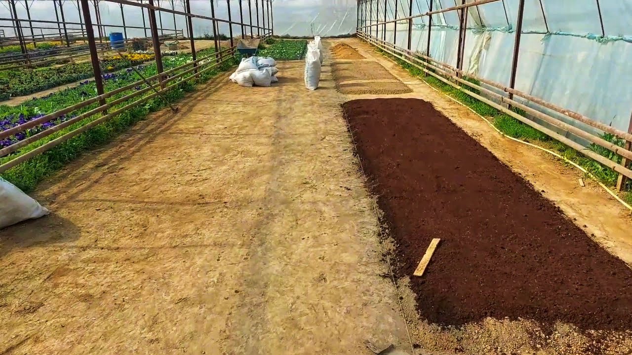 Уруг экиш учун энг зор тупрок Биогумус. Кандай килиб жой таёрлаш. Тупрокни зарарлантириш. Биогумус💯%
