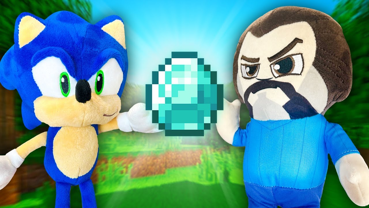 Sonic Meets Minecraft Steve!