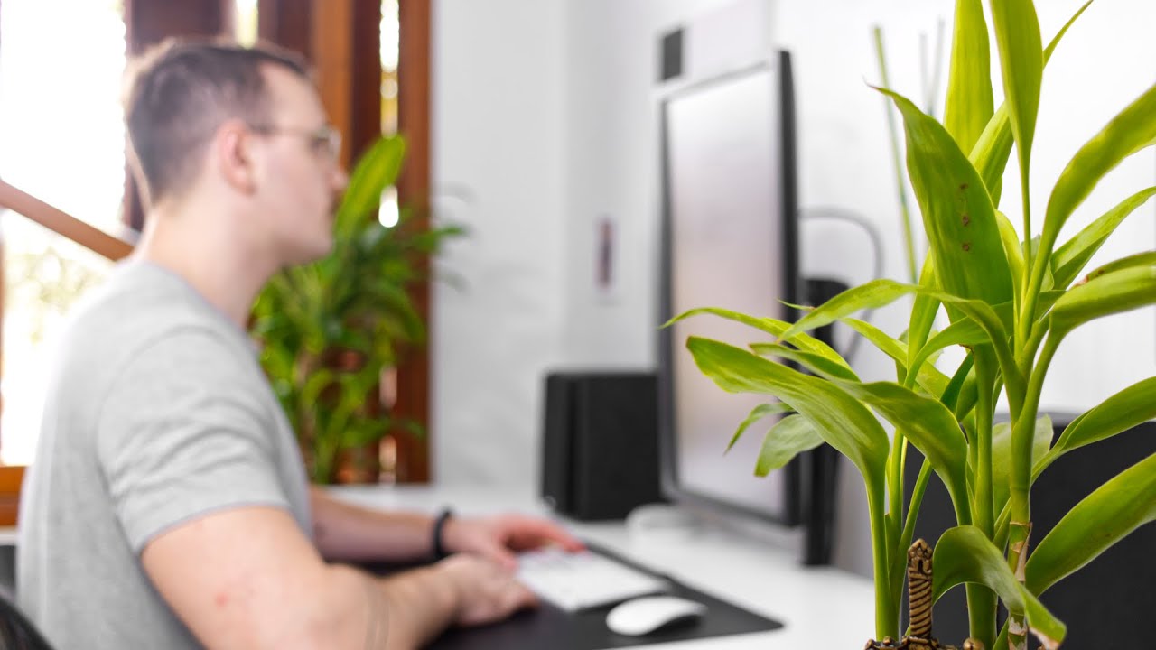 Home Office: 5 Dicas Importantes Para ser Produtivo em Casa