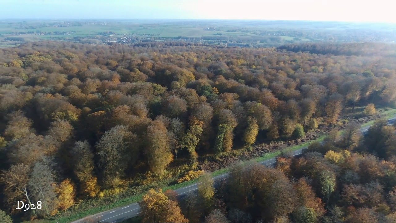 foret hesdin et son manteau d'automne