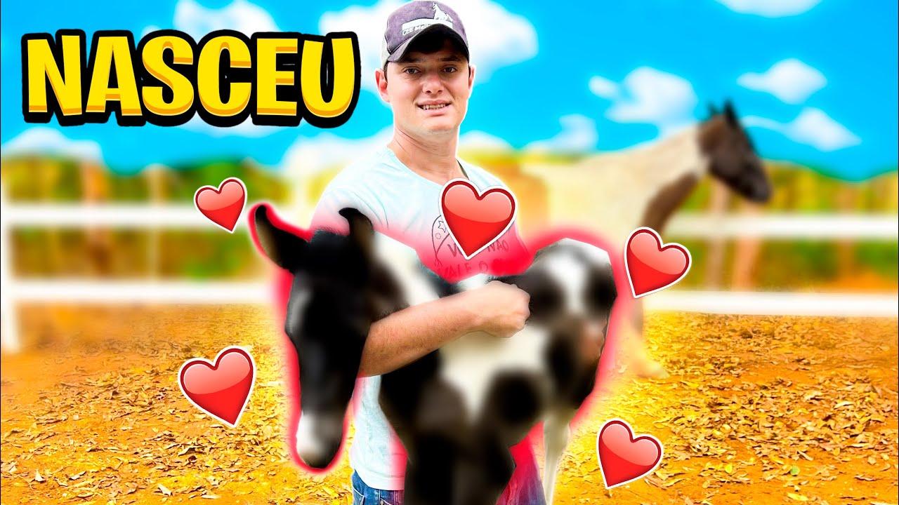 Potro NOVO