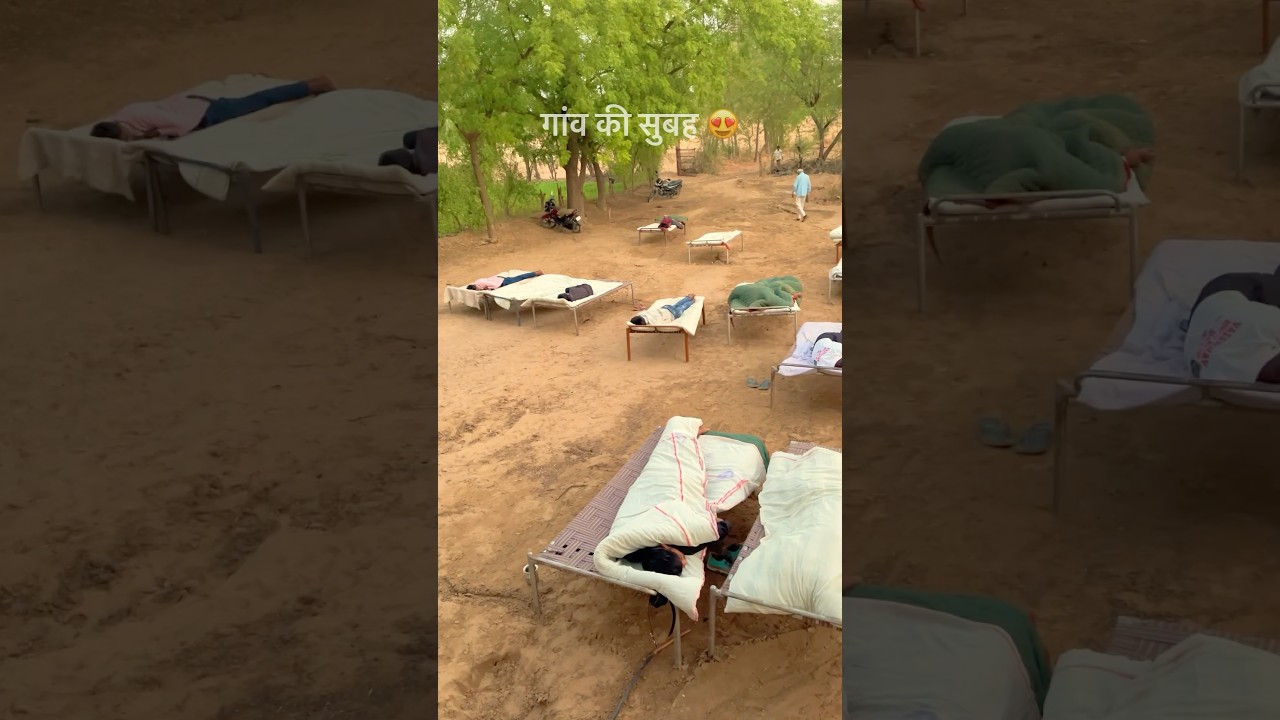 गाँव की सुबह का नजारा 😍 #gaon #morning #village #desi #khana #food #rajasthan #youtubeshorts