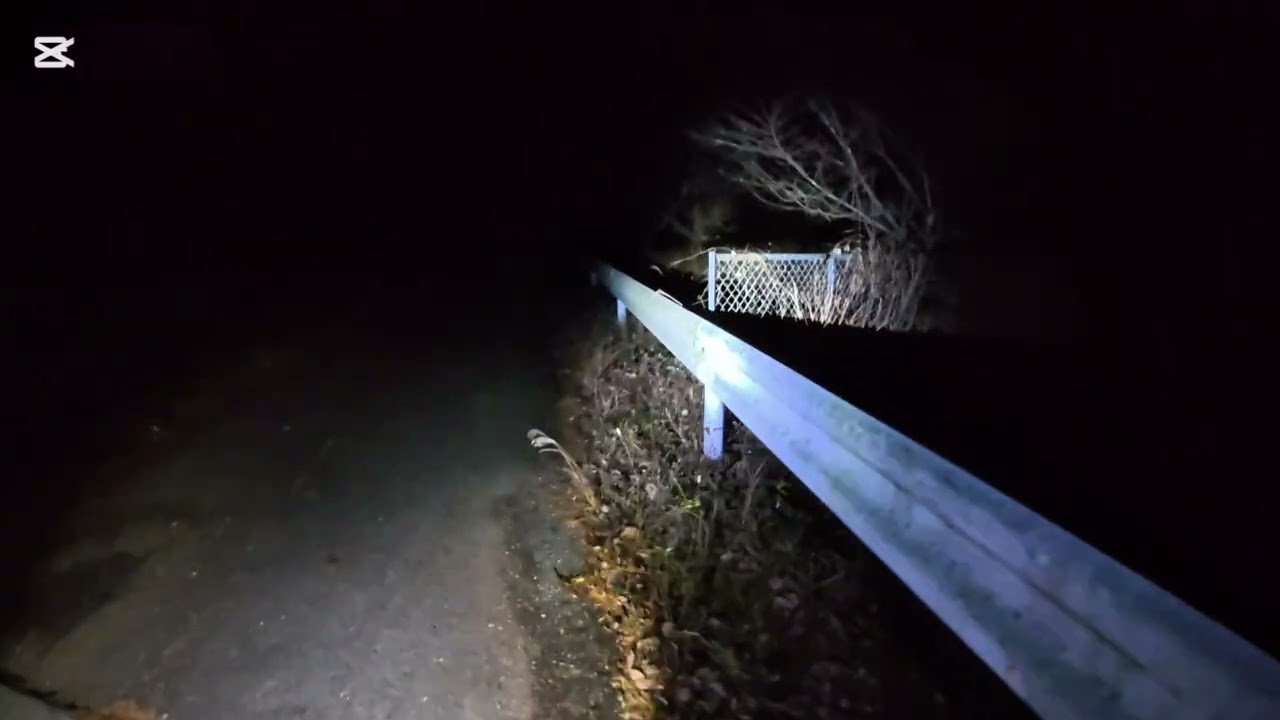 秋坊主のナイト ウォーク🌕～愛知県 新城市 大原調整池～　後編