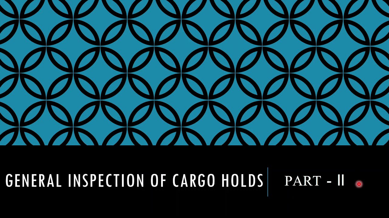 General Inspection of Cargo Holds #HoldInspection