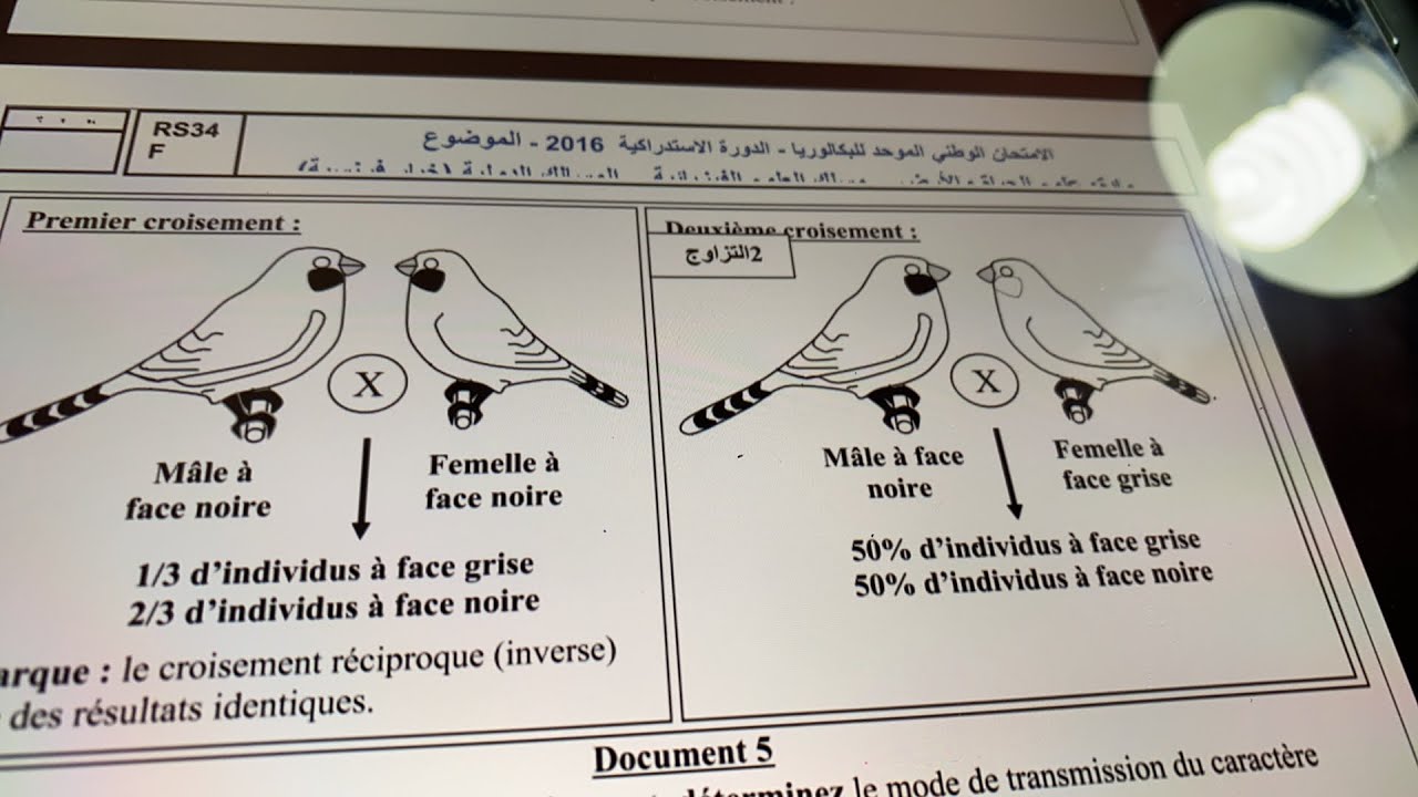 Exam rattrapage 2016 SVT et PC (lois de mendel)