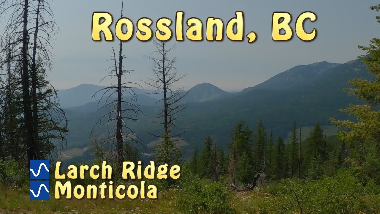 Best Intermediate MTB Trails in Rossland, BC - Larch Ridge and Monticola