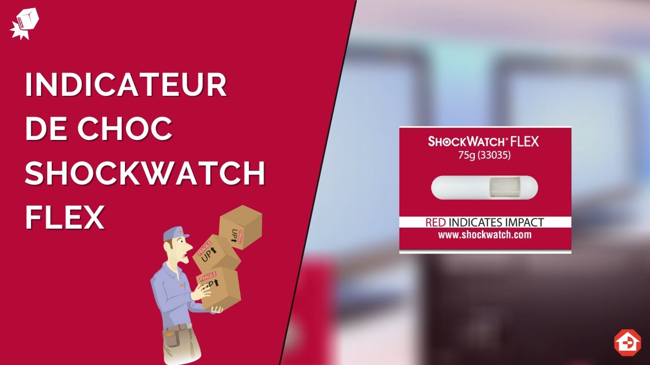 Présentation de l'indicateur de choc ShockWatch FLEX