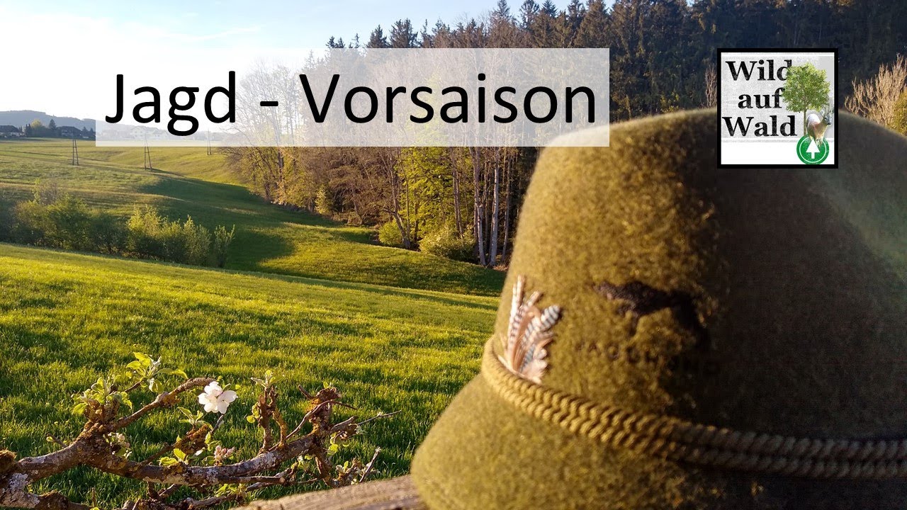 🦌Mai Bock Jagd 2022; Wir sind bereit - du auch? #wildaufwald