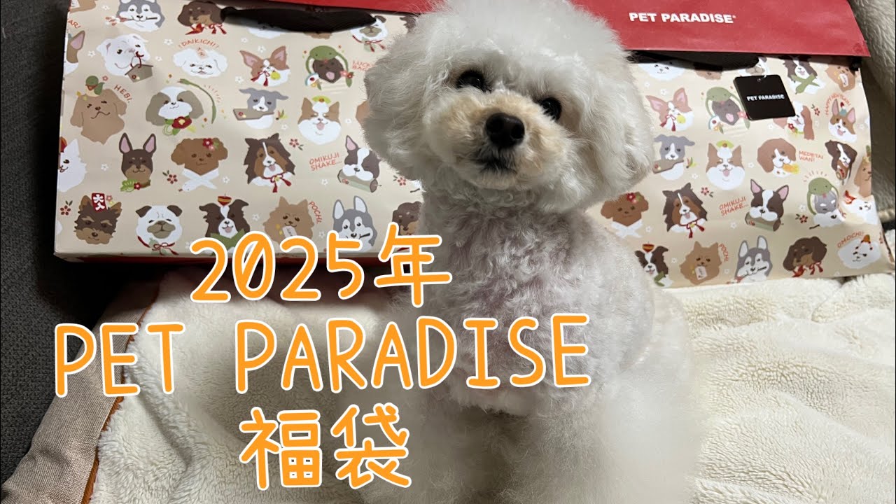 【福袋2025】PETPARADISEで小さめのサイズを検討している方必見！