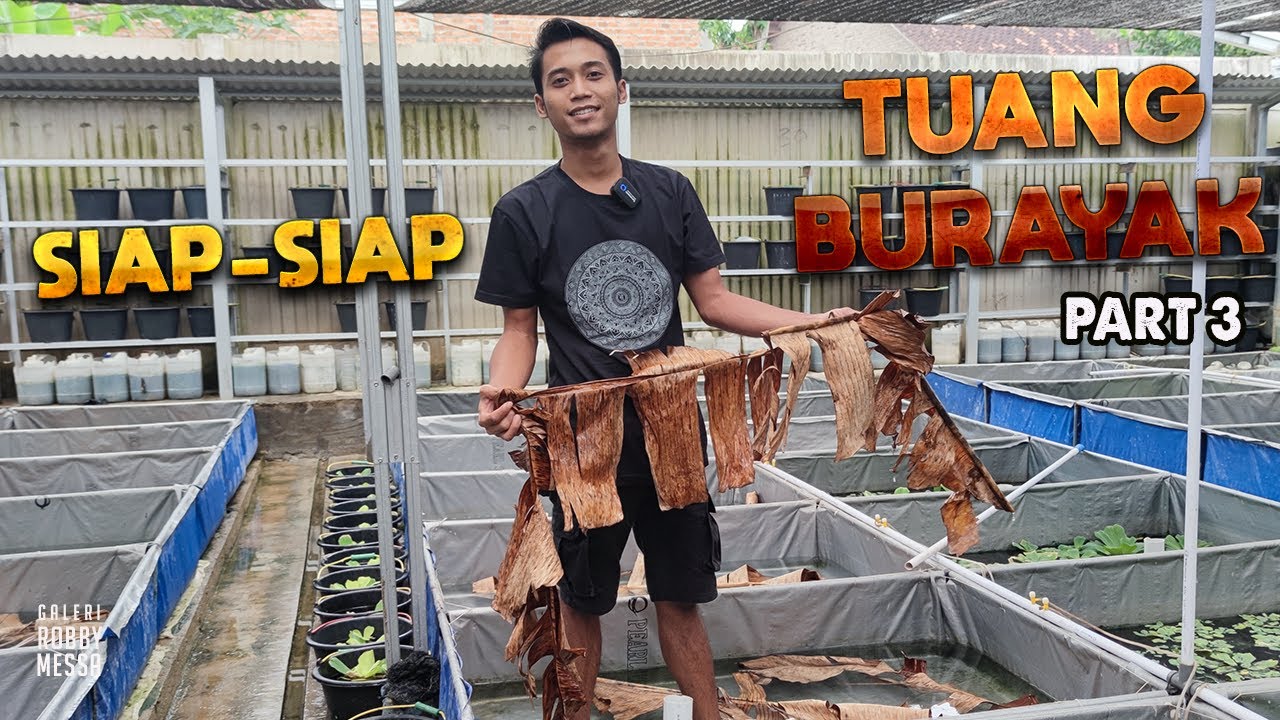 BURAYAK TUANG LANGSUNG MAKAN PART#3😍😍😍😍😍😍