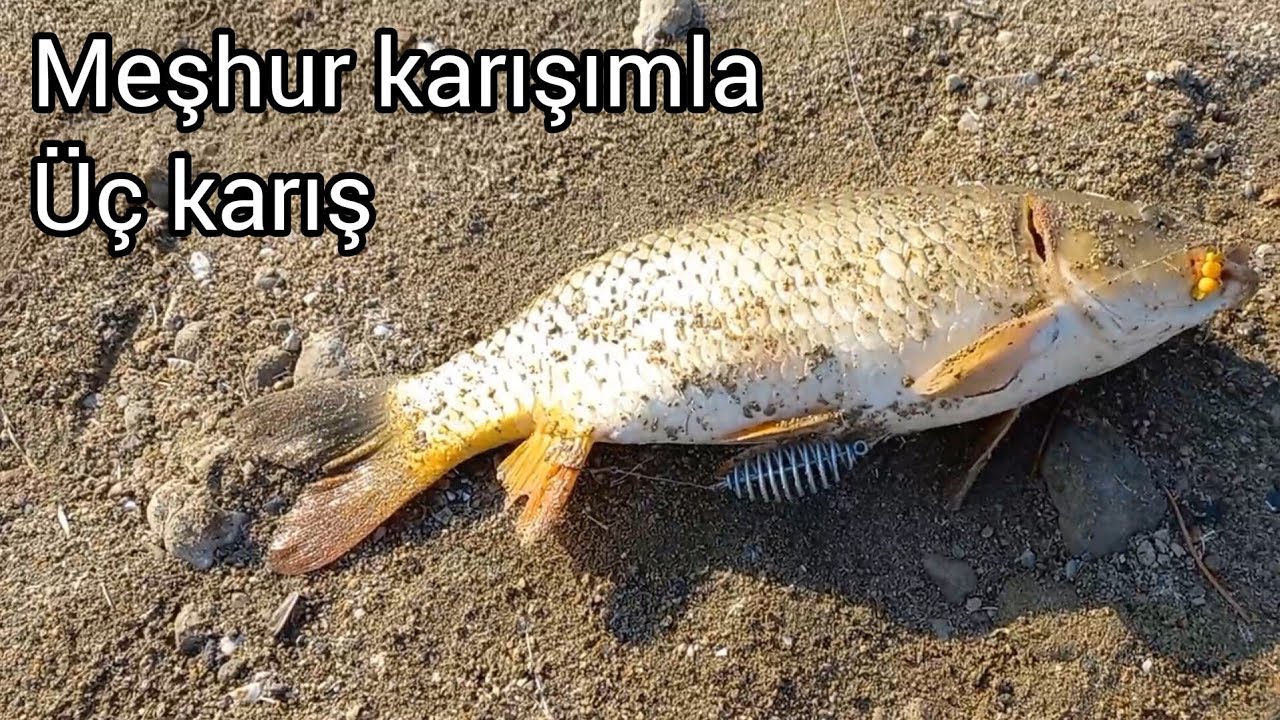 sazan avı.gülmeyi özlemişim