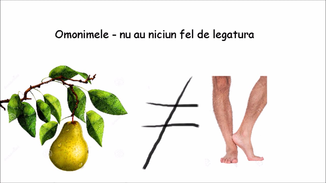 OMONIME SI CUVINTE POLISEMANTICE - Gramatica in 3 minute