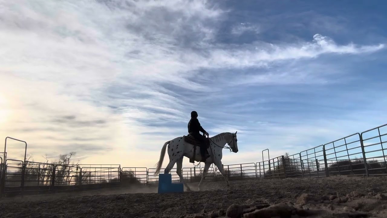 Peter ride 1/11