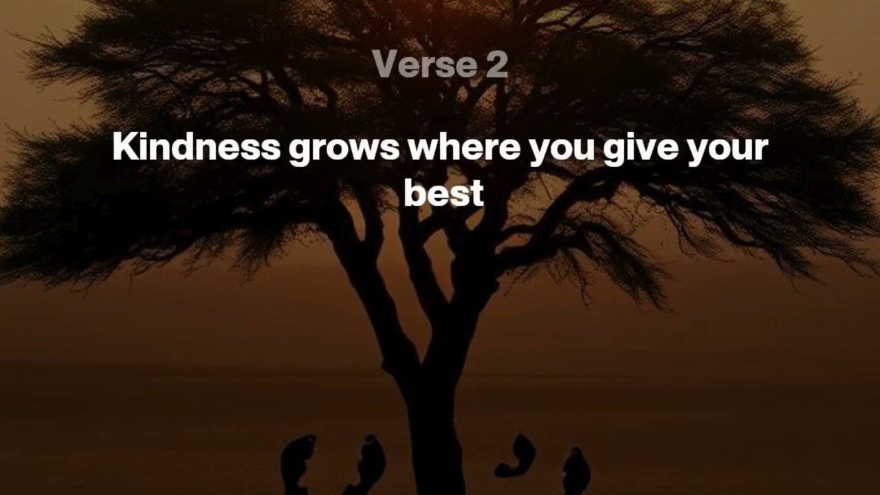 Rise and Shine – ( afro soul)