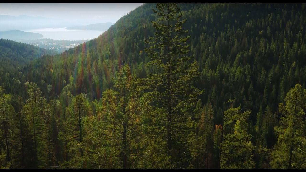 Sandpoint ID - 4K Mavic 2 Pro, Drone Video by Joe Reilly
