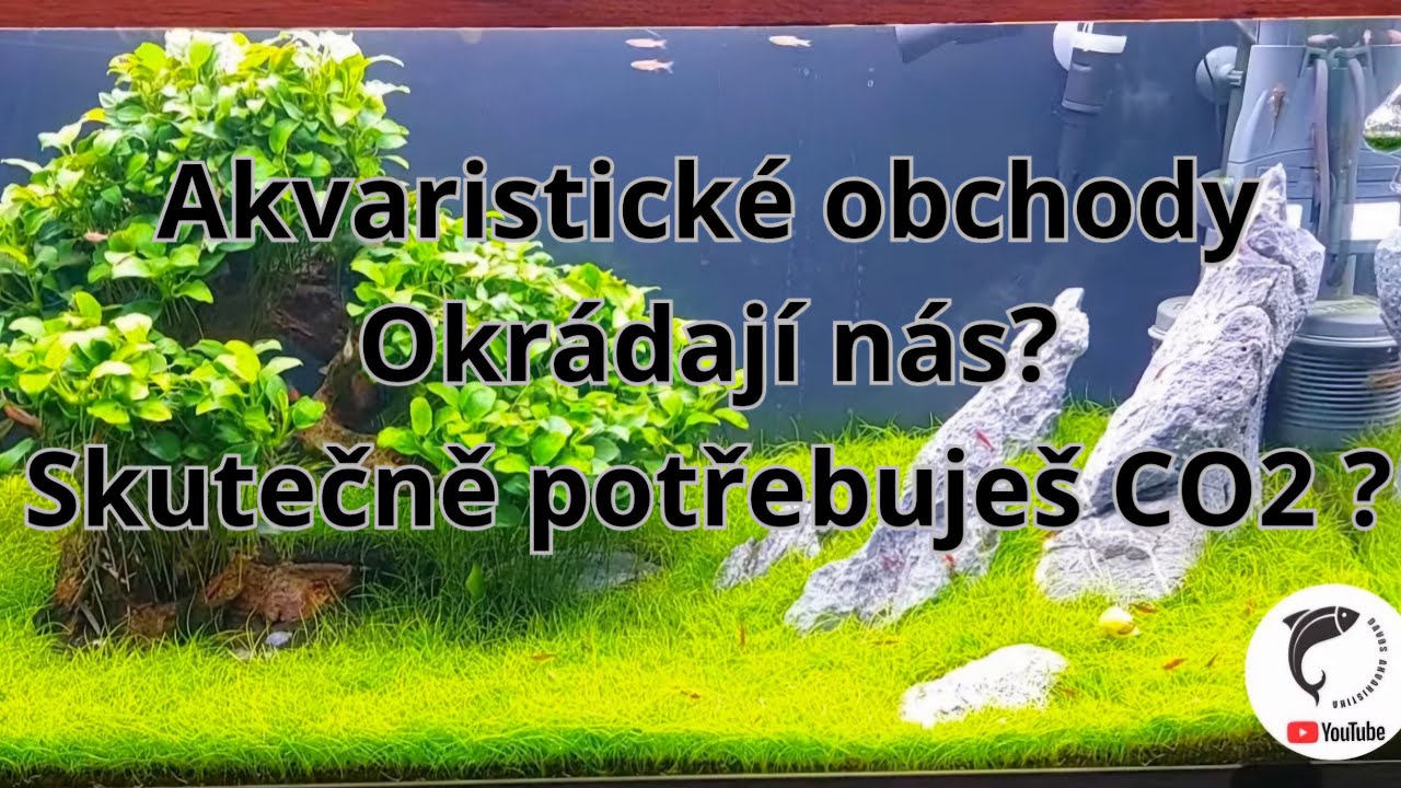 Dávkování CO2 v akváriu. Je to obchodni tah ? Nebo skutečně potřebují rostliny hnojit pomocí CO2 ?