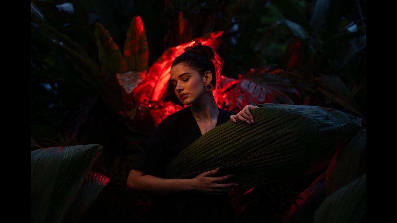 Shaday - Elephants (Official Music Video)