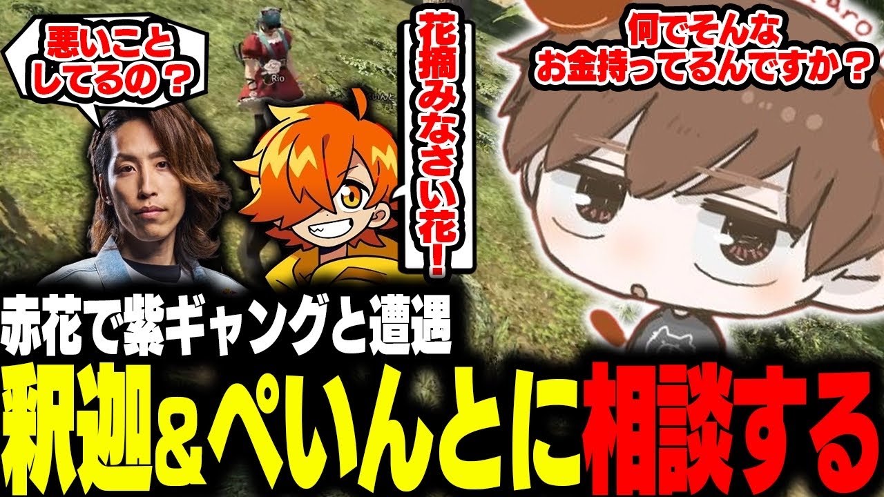 【#NEWTOWN】赤花摘みながら釈迦＆ぺいんとにお金の相談をするRio【Rio/ぺいんと/釈迦/日ノ隈らん/犬養/聖ルナティア/まるーん/zepher/切り抜き】