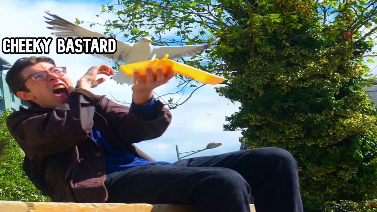 Grand Theft Auto: The Lost and Damned All Seagulls in 20:42 (Former World Record)