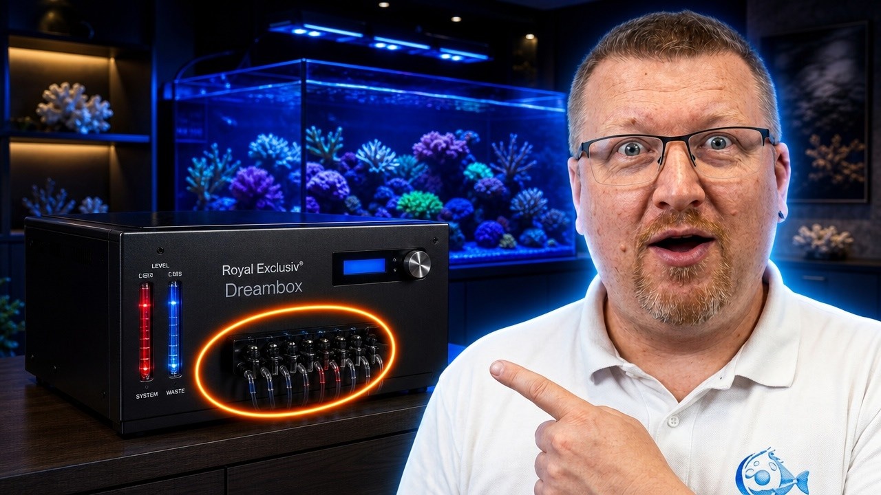 💥 Le Futur de l’Aquarium Récifal ? Royal Exclusiv frappe fort avec ces innovations ! 🔥