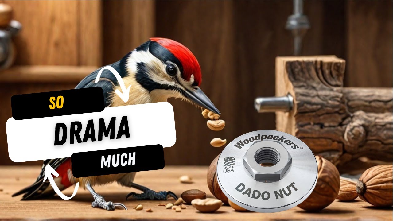 What's up with all the drama surrounding the Woodpeckers Dado Nut for Sawstop?