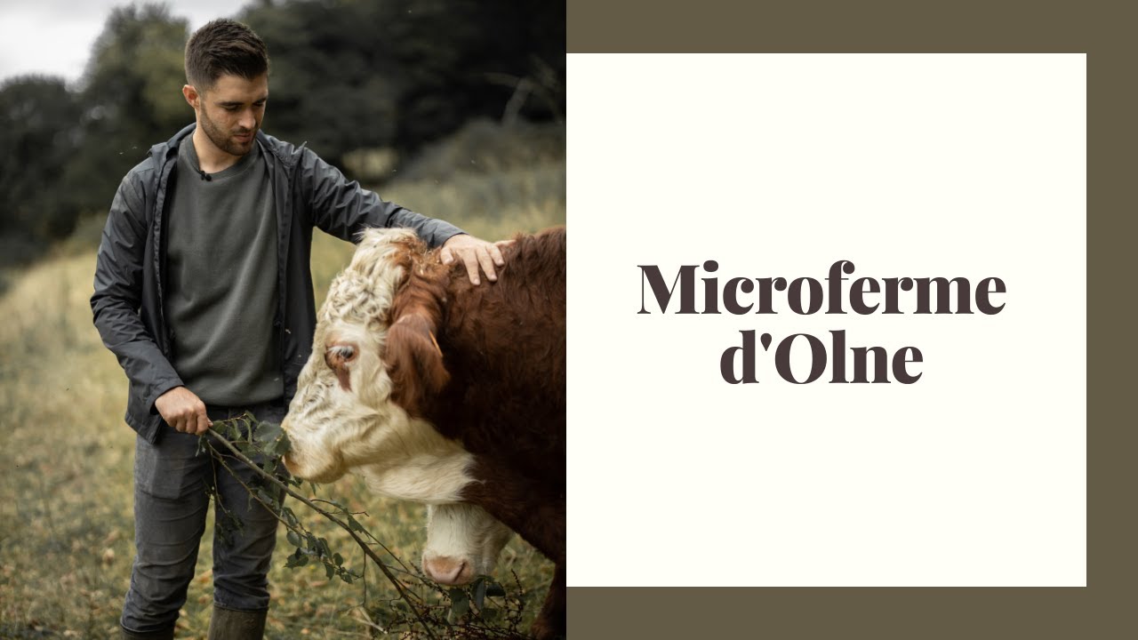MICROFERME D'OLNE