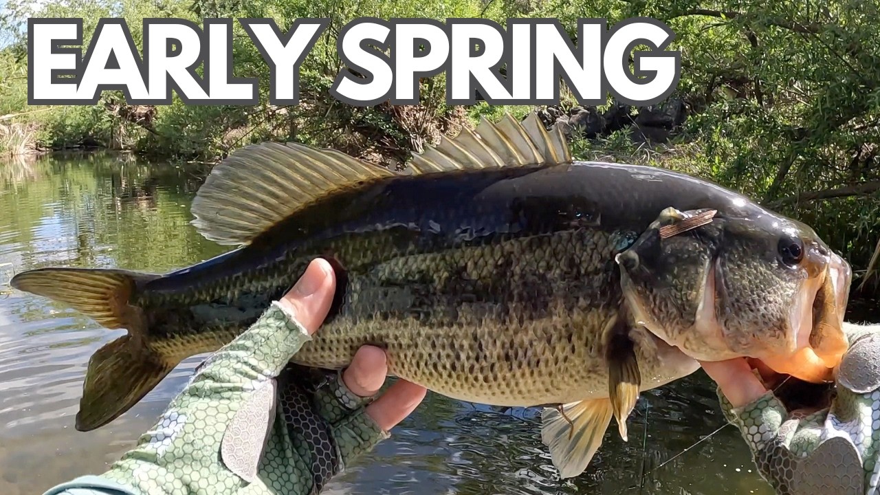 Roadside Creek Bass: A Cold Day in Early Spring - Fly Fishing in Tough Conditions