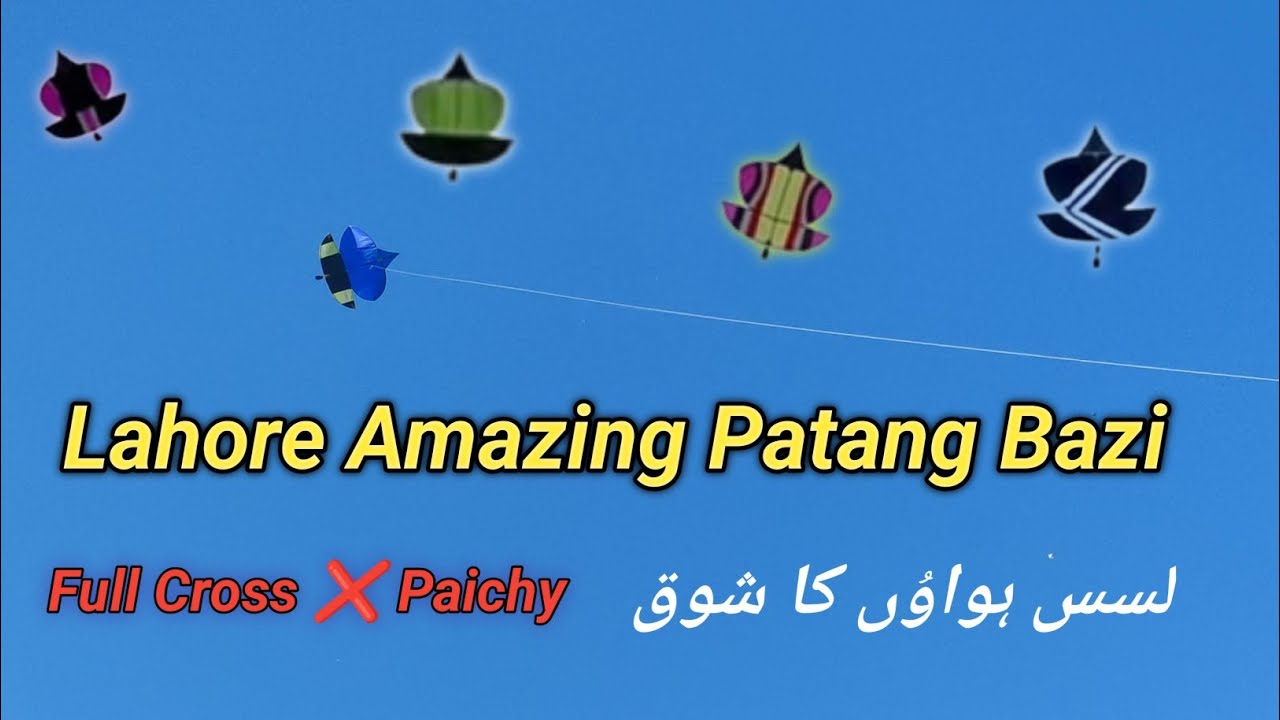 Real Patang Bazi | Top k Paichy | Morning Game | Lush Hawa | Amazing Patang Bazi in Lahore