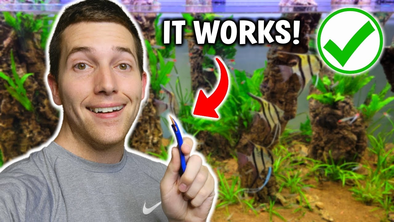 This Aquarium Tool Will BLOW YOUR MIND (and save your fingers)