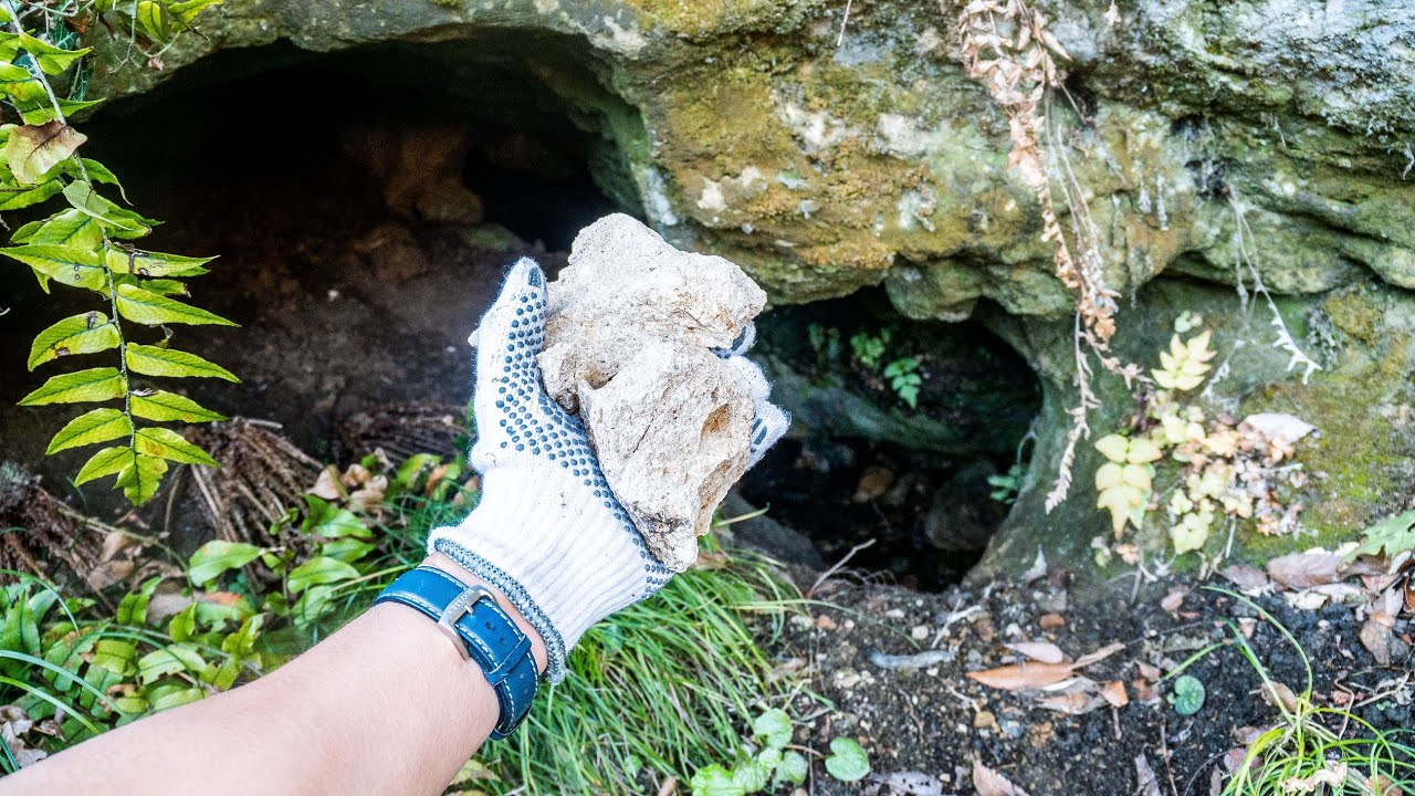 2000万年前の化石がゴロゴロとれる洞窟
