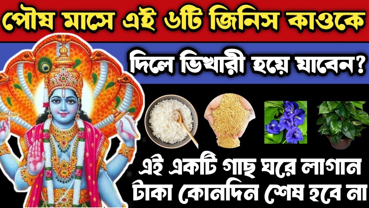 পৌষমাসে ৬টি জিনিস কাউকে দিলে দারিদ্র্য বাড়ে পৌষমাসে এই ১টি গাছ গৃহে লাগান নতুন বছরে টাকা উপচে পড়বে