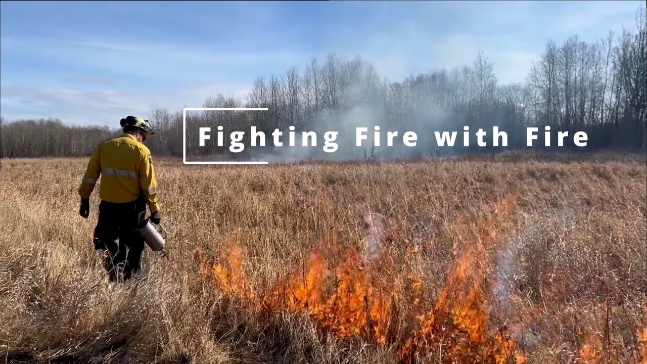 Fighting Fire with Fire