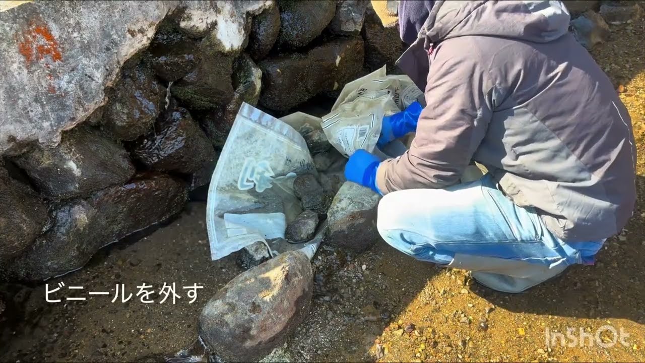わさび田整備 #8｜砂が重すぎた畑の整備と砂止め設置Wasabi Field Maintenance – Heavy Soil and Sand Barrier Installation