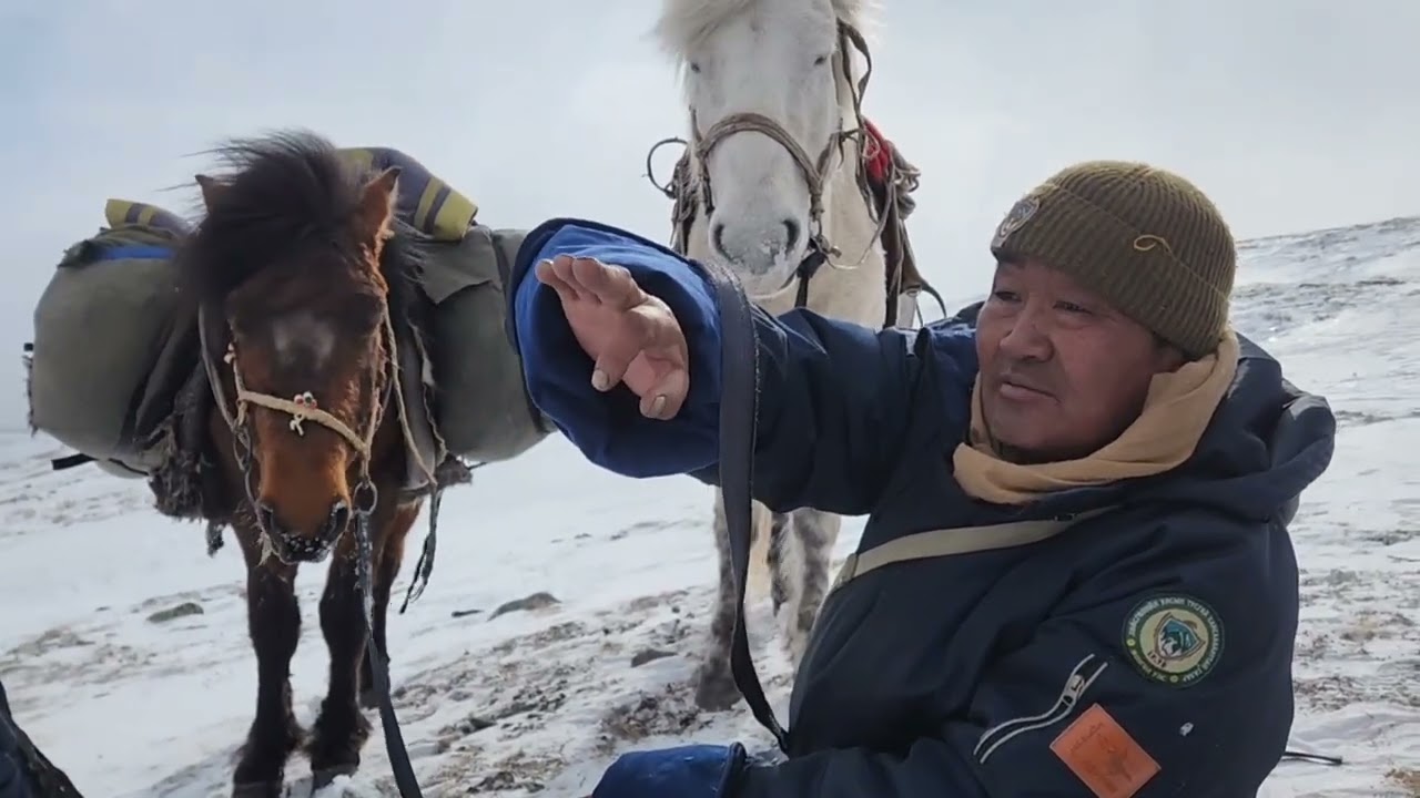 Мониторинг судалгааны ажлын явцаас товч хүргэх нь... Видео архив