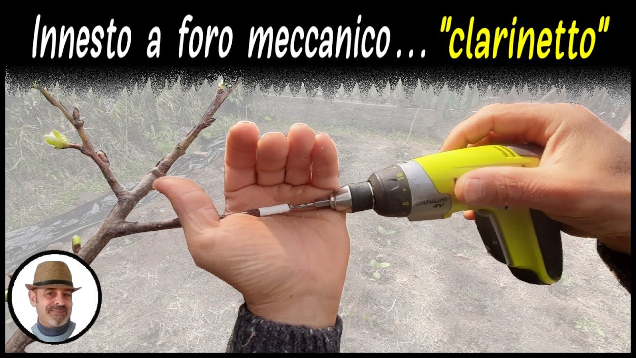 INNESTO A FORO MECCANICO A CLARINETTO, drill graft, injerto de perforación
