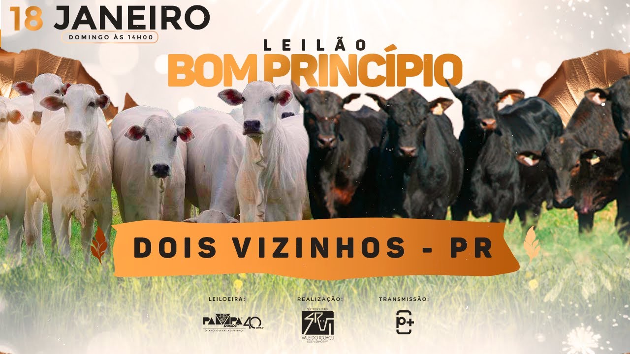Leil&atilde;o de Bom Princ&iacute;pio, DOIS VIZINHOS/PR - 18/01/2026 14:00h