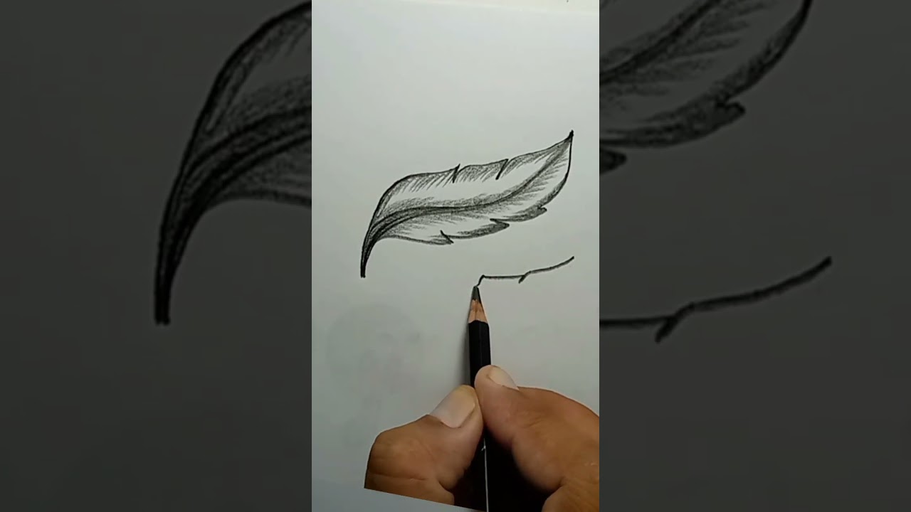 top drawing video | drawing video #quill#shortvideo #easy #drawing