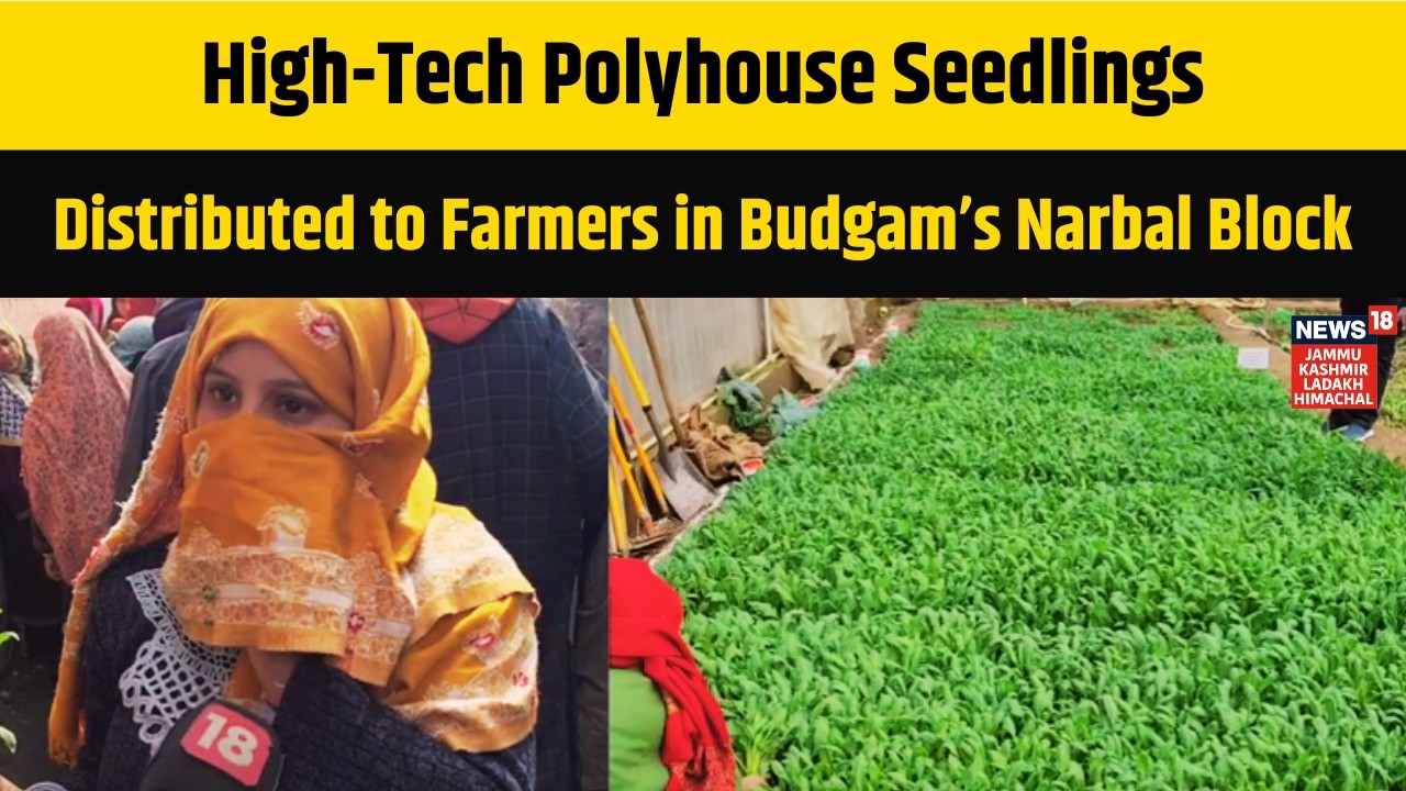 High-Tech Polyhouse Seedlings Distributed to Farmers in Budgam’s Narbal Block | News18 JKLH | N18V