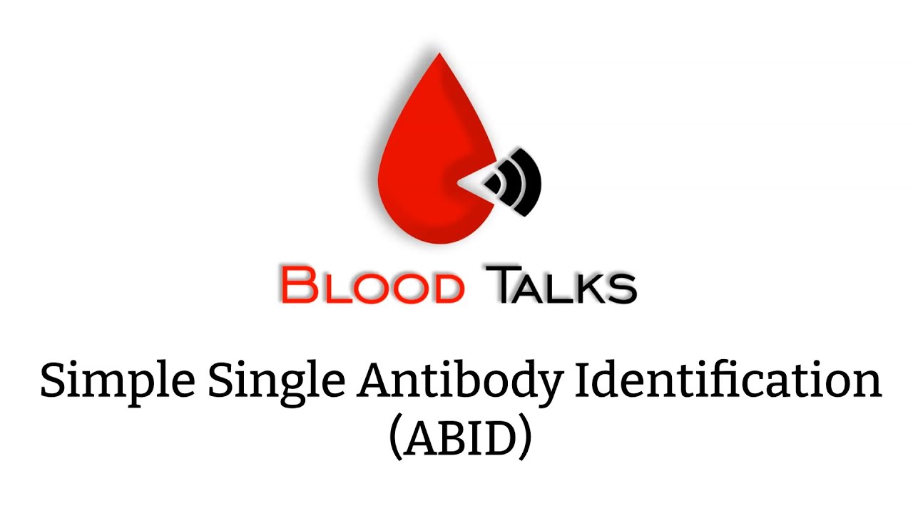 Antibody identification explain: simple single ABID