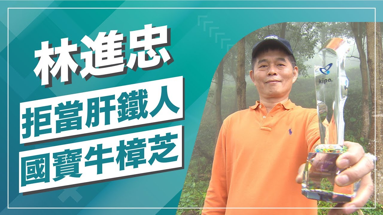 草地狀元-台灣珍寶牛樟芝之王(2019.06.17播出)