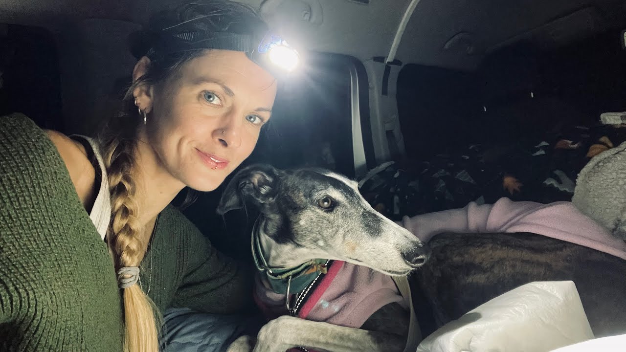 Car Camping FAIL with my Greyhound 🤣 + Cornwalls Most Stunning Beach?
