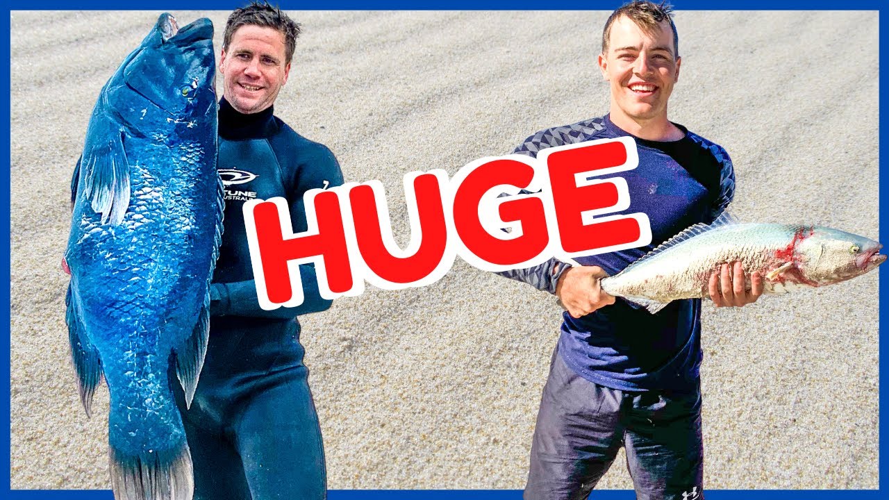 WE CAUGHT A MONSTER! Blue Groper / Salmon hunt in Bremer Bay.