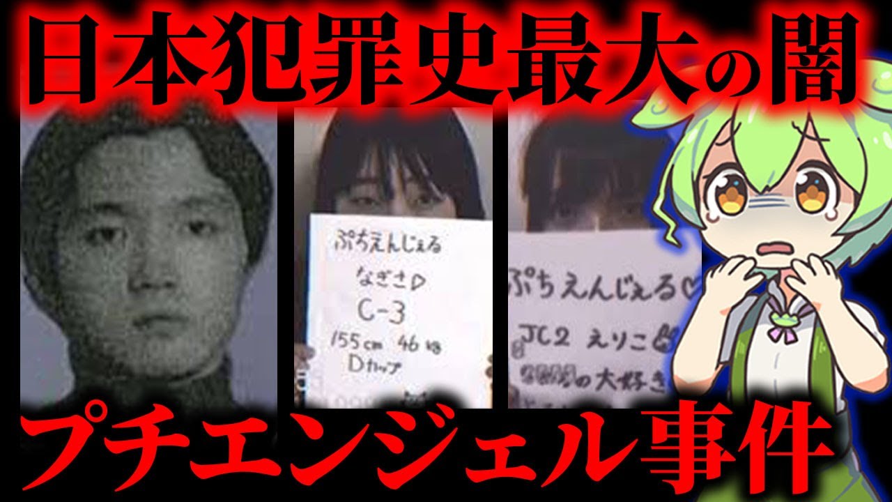 【実話】平成最大のタブーと言われたプチエンジェル事件【ずんだもん&ゆっくり解説】