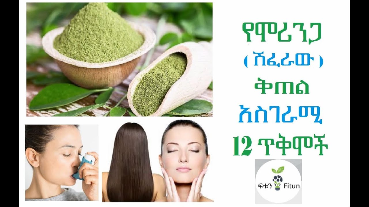 Ethiopia: የሞሪንጋ(ሽፈራው) ቅጠል አስገራሚ #12 ጥቅሞች Amazing 12 Healthy Benefits of Moringa