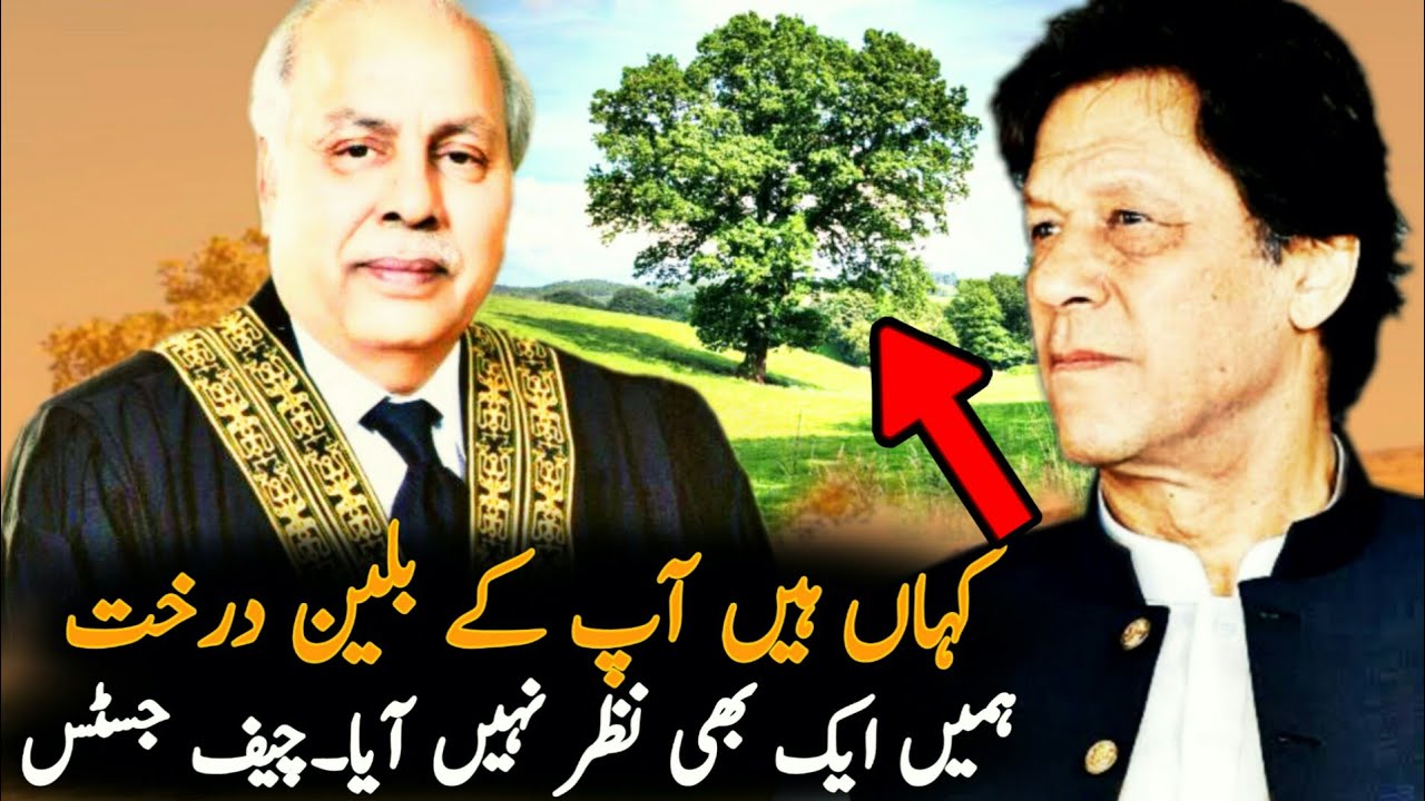 Where Is Your Billion Tree Project,Chief Justice | ImranKhan | Clean Green Pakistan