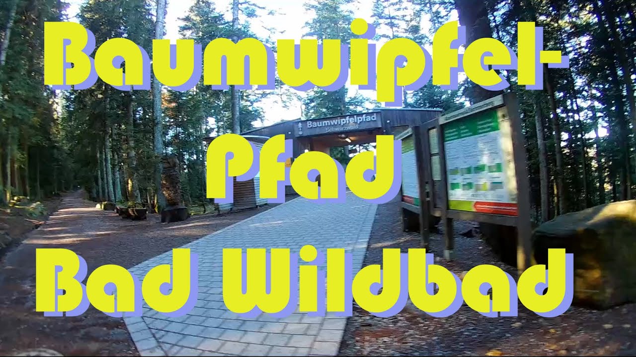 Baumwipfelpfad bei Bad Wildbad | Kenji Motoyama