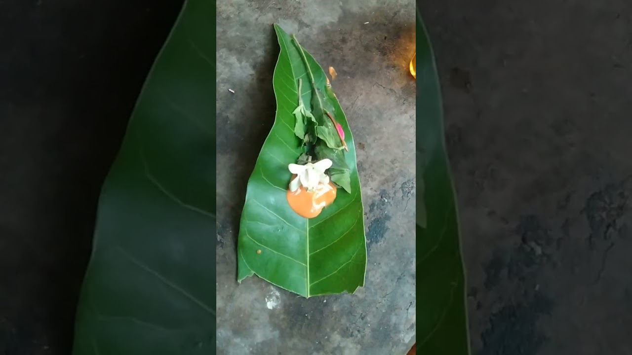ശിവരാത്രി 🙏🙏